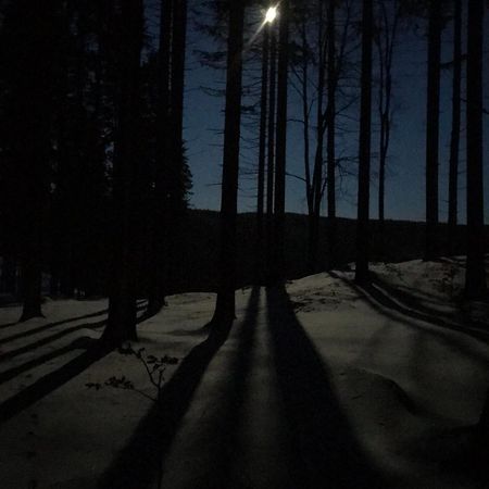 Dziewiecsil-Domek W Gorach Duszniki Zdrój Eksteriør bilde